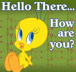Pic for blog-19: tweety