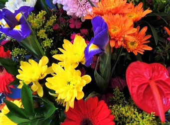 Pic for blog-40: flowers (durban florist, hillcrest)